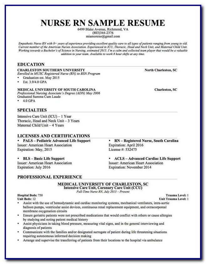 Experienced Nursing Resume Template Experienced Nursing Resume Template
