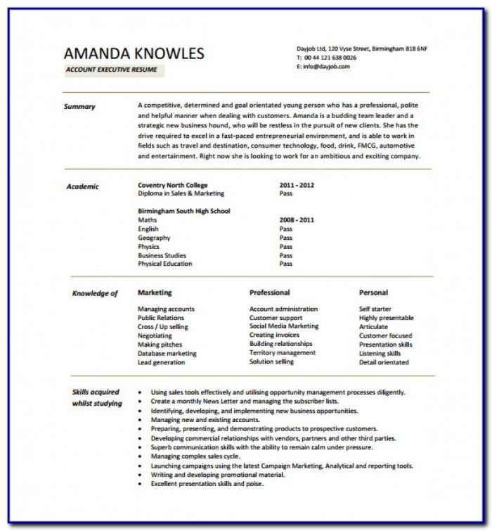 Free Executive Resume Templates Microsoft Word Free Executive Resume Templates Microsoft Word