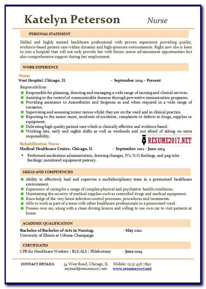 Nursing Resume Template 2017 Nursing Resume Template 2017