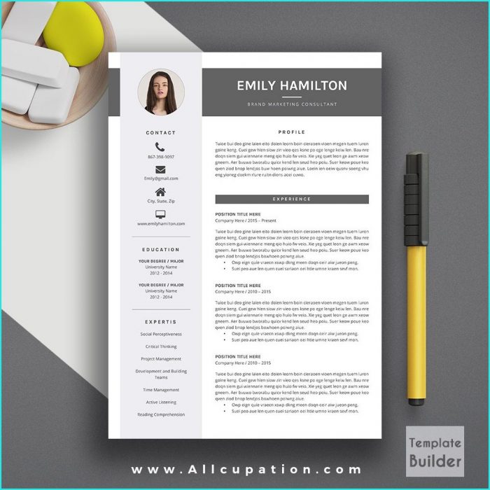 Download Creative Resume Templates Word Download Creative Resume Templates Word