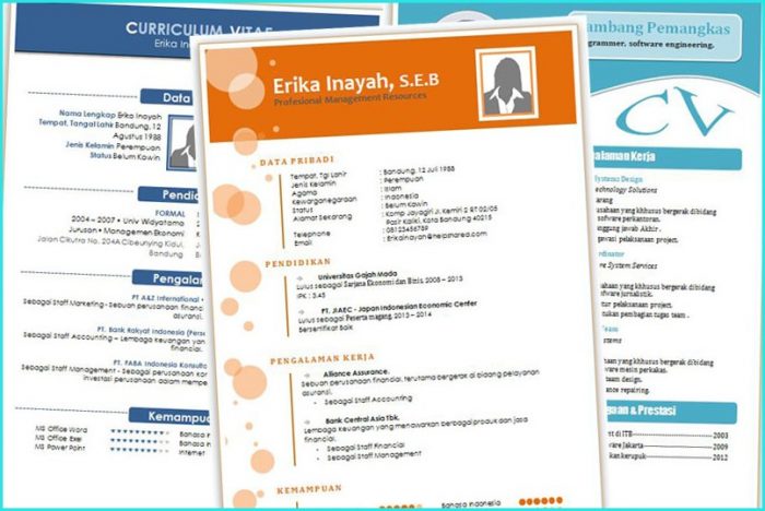 Download Template Resume Menarik Download Template Resume Menarik