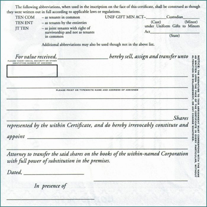 Back Of Stock Certificate Template Back Of Stock Certificate Template