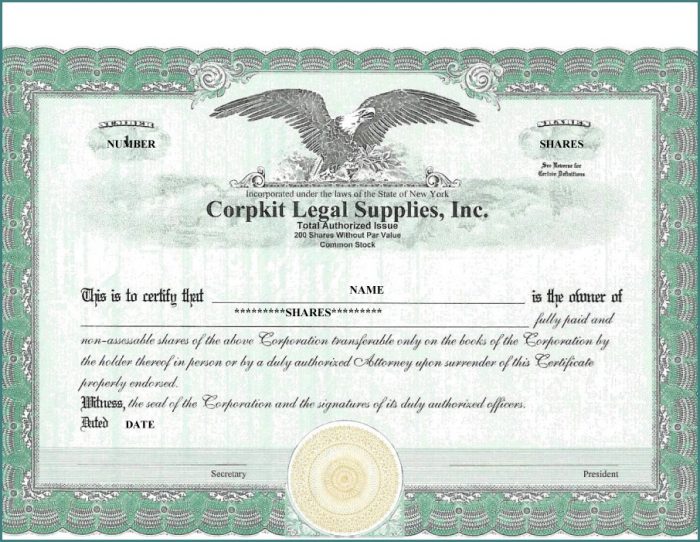 Blank Stock Certificate Template Blank Stock Certificate Template