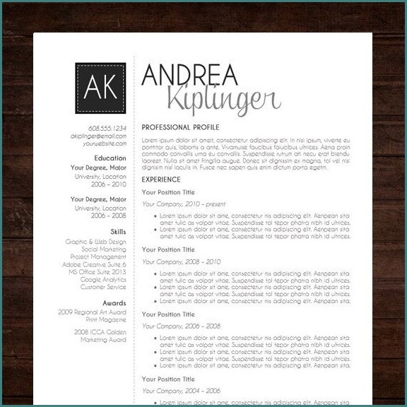 Free Modern Professional Resume Templates Free Modern Professional Resume Templates