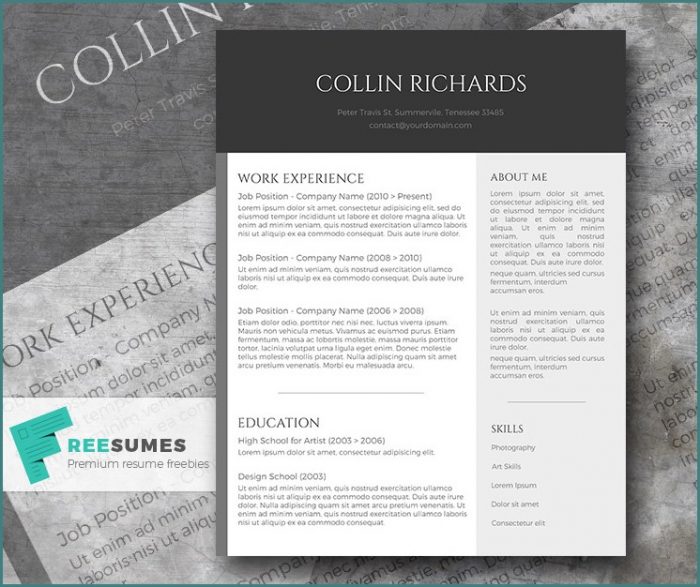 Free Modern Resume Templates Free Modern Resume Templates