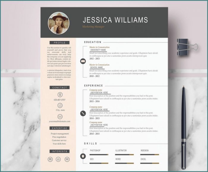 Free Modern Resume Templates Word Free Modern Resume Templates Word