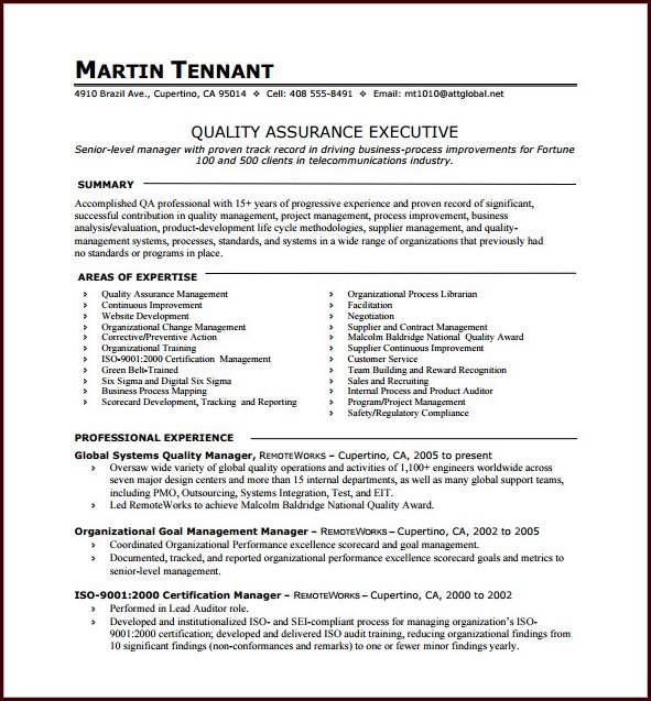 Free One Page Resume Templates Word Free One Page Resume Templates Word