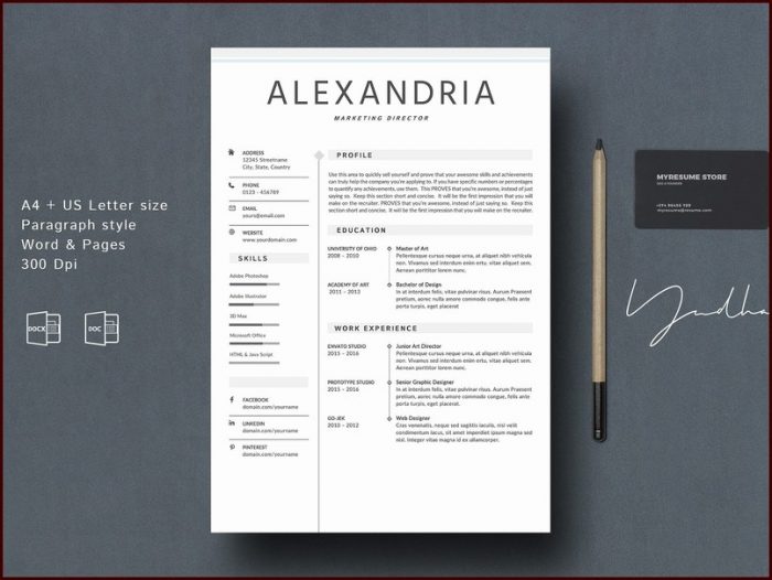 Free Unique Resume Templates Word Free Unique Resume Templates Word
