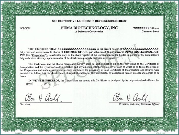 S Corporation Stock Certificate Template S Corporation Stock Certificate Template