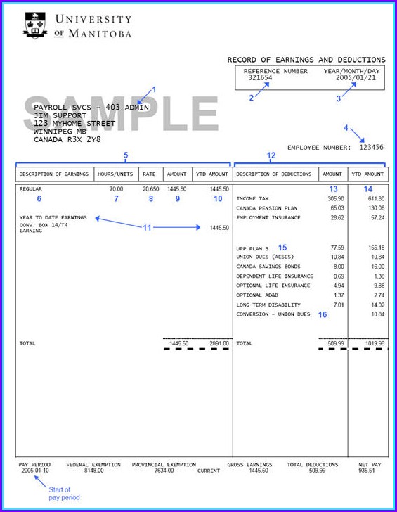 Pay Stub Template Pdf Download Pay Stub Template Pdf Download