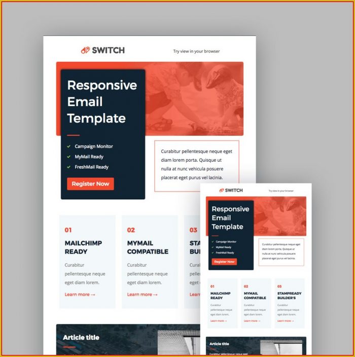 Creative Mailchimp Newsletter Templates Creative Mailchimp Newsletter Templates