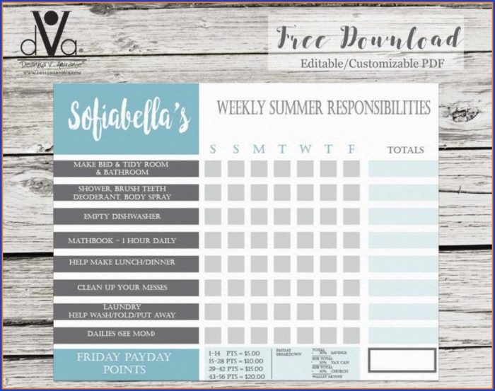 Editable Customizable Chore Chart Template Editable Customizable Chore Chart Template
