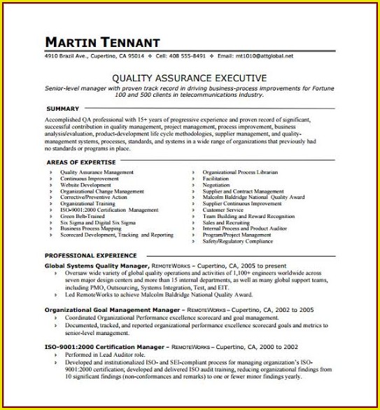 One Page Resume Template Word Free Download One Page Resume Template Word Free Download