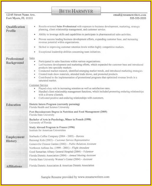 Resume Template For Sales Job Resume Template For Sales Job