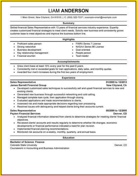 Resume Template For Sales Position Resume Template For Sales Position