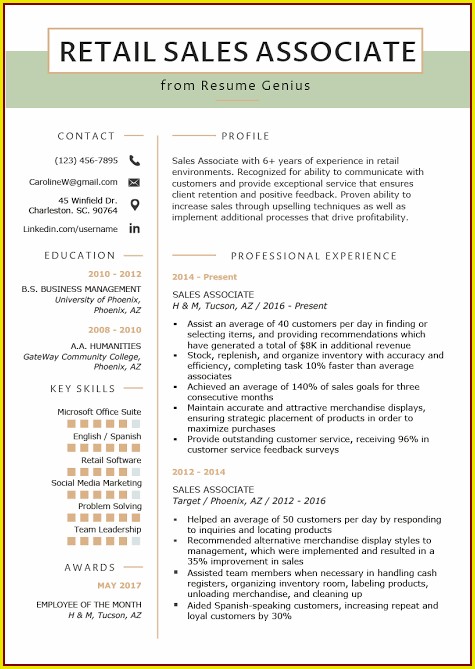 Resume Template For Sales Resume Template For Sales