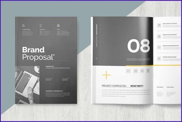 Business Proposal Indesign Template Business Proposal Indesign Template