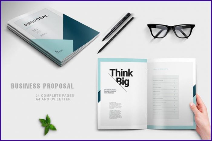 Business Proposal Template Indesign Free Business Proposal Template Indesign Free