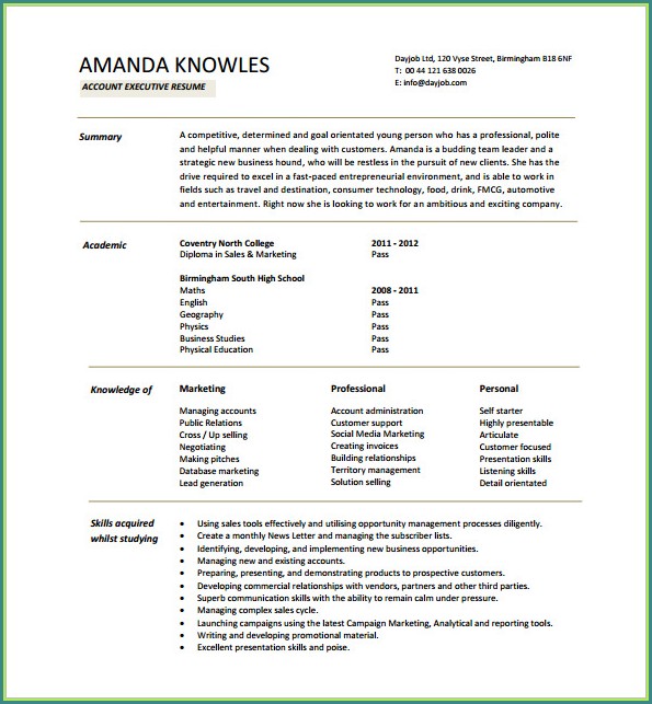 Downloadable Executive Resume Template Word Downloadable Executive Resume Template Word