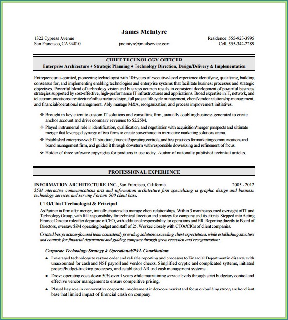 Executive Resume Template Download Executive Resume Template Download