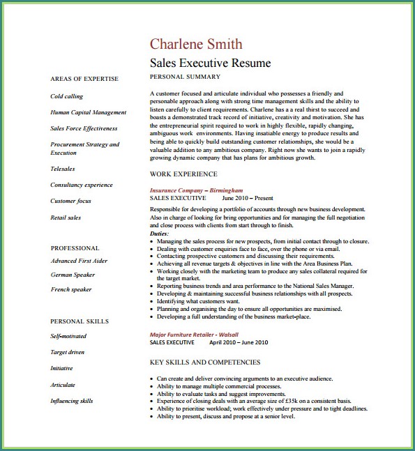 Executive Resume Template Word Free Download Executive Resume Template Word Free Download