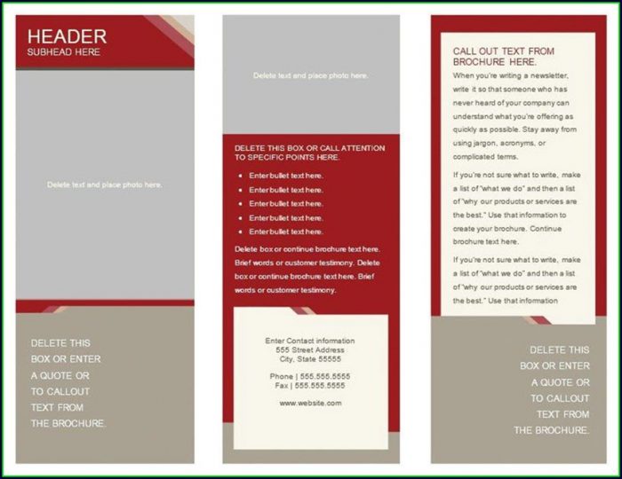 Free Tri Fold Brochure Template Google Docs Free Tri Fold Brochure Template Google Docs