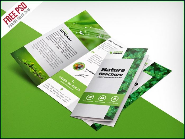 Free Tri Fold Brochure Template Psd Free Tri Fold Brochure Template Psd