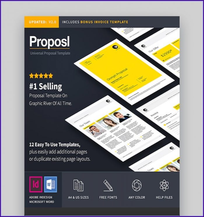 Indesign Business Proposal Template Free Download Indesign Business Proposal Template Free Download