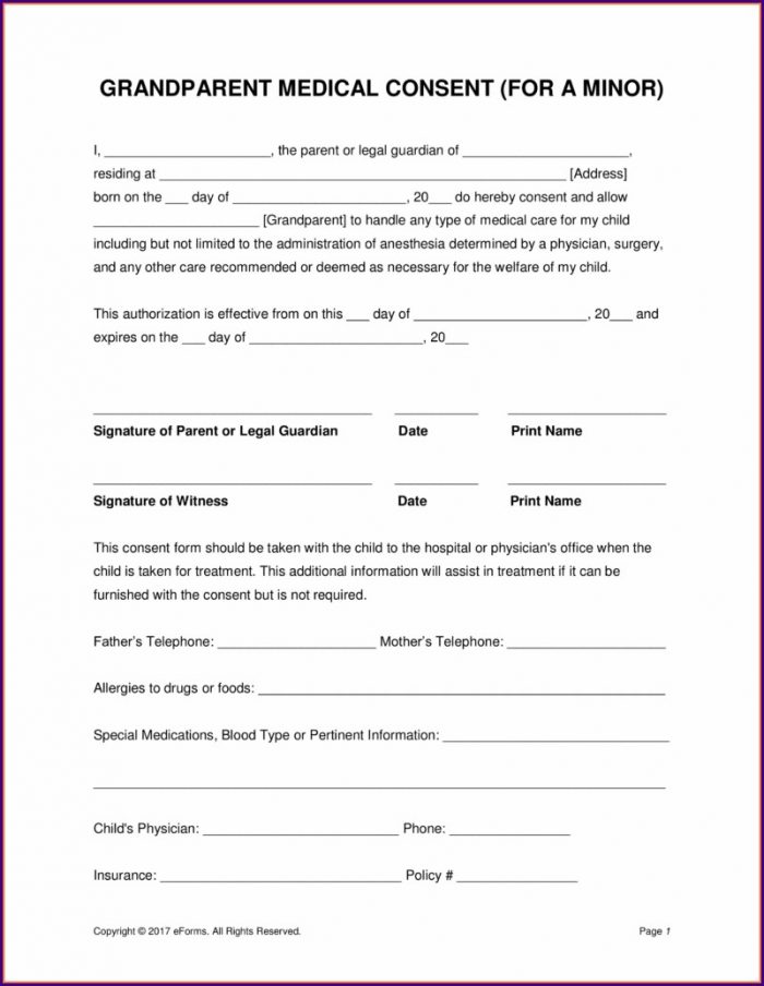 Parental Consent Free Child Travel Consent Form Template Pdf Parental Consent Free Child Travel Consent Form Template Pdf