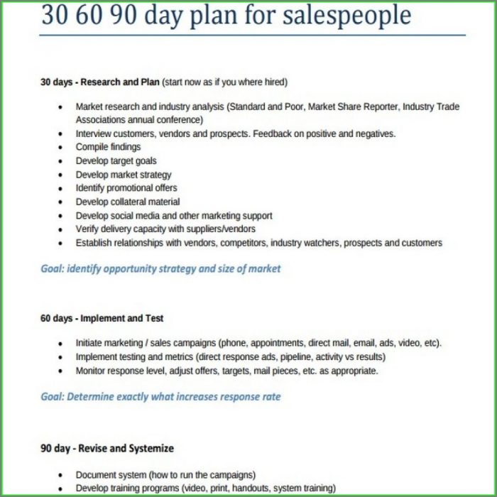 30 60 90 Sales Plan Template Free 30 60 90 Sales Plan Template Free