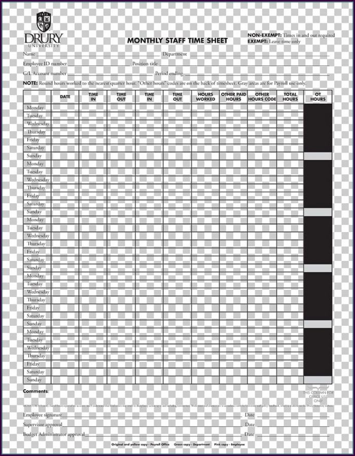 Access Timesheet Template Access Timesheet Template
