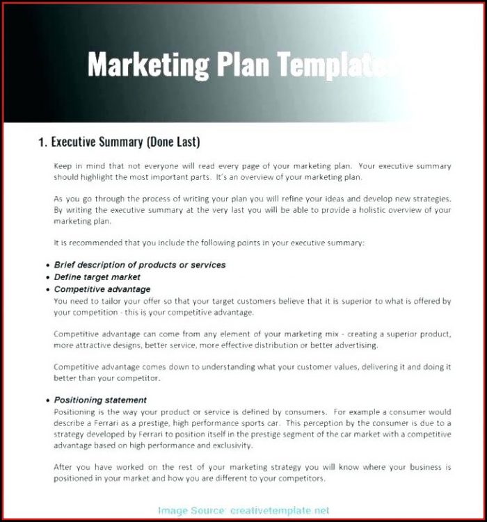 Apartment Marketing Plan Template Apartment Marketing Plan Template