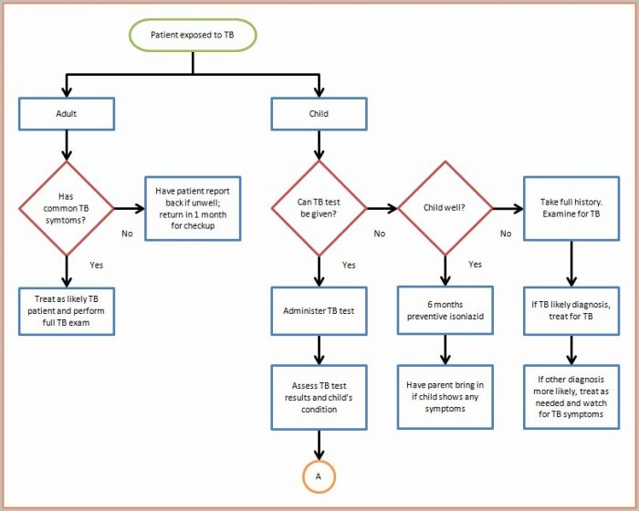 Beginner Blank Flow Chart Template For Word Free Download Beginner Blank Flow Chart Template For Word Free Download