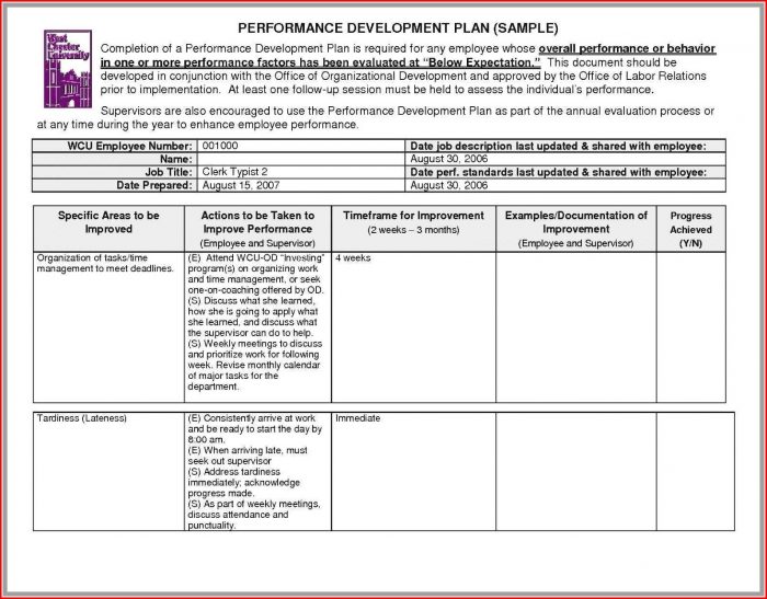 Blank Check Stub Template Blank Check Stub Template