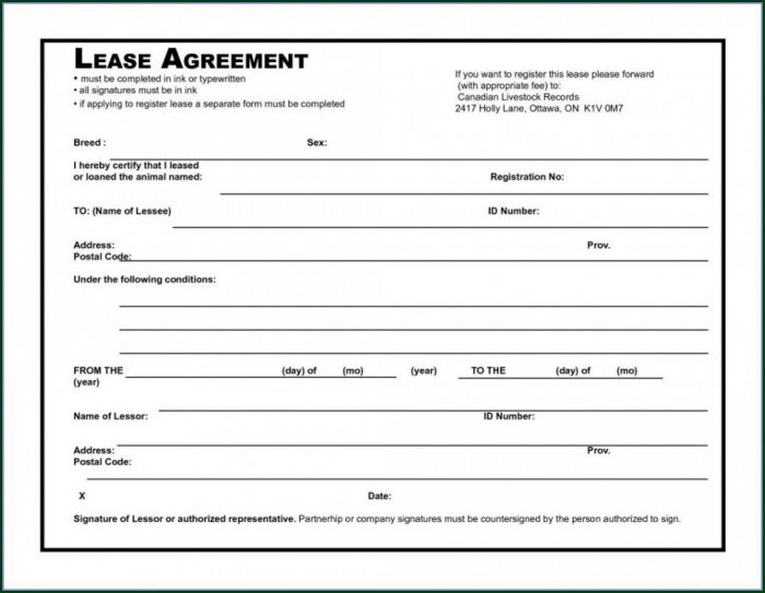 Blank Commercial Lease Template Blank Commercial Lease Template
