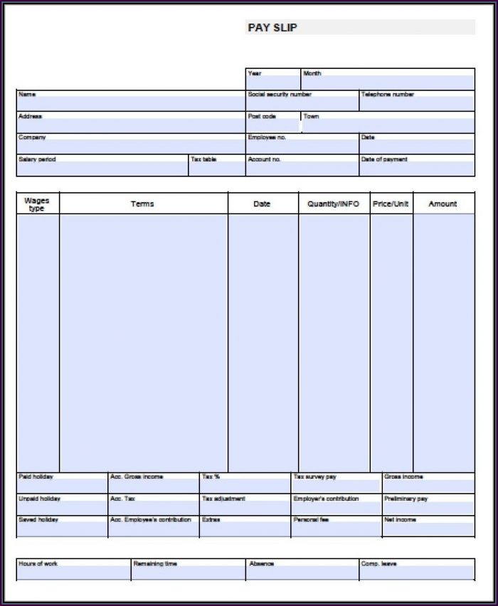 Blank Editable Pay Stub Template Blank Editable Pay Stub Template