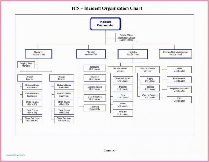 Blank Flow Chart Template For Word Free Download Blank Flow Chart Template For Word Free Download