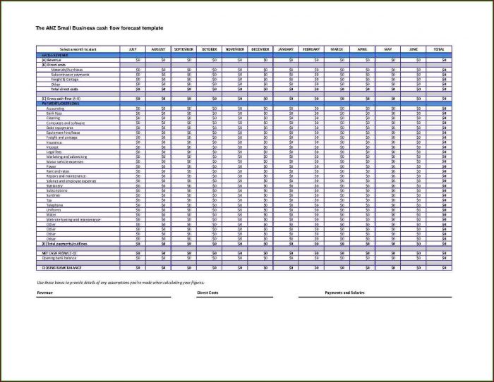 Business Cash Flow Template Business Cash Flow Template