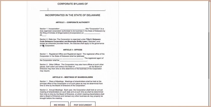 Business Company Bylaws Template Business Company Bylaws Template