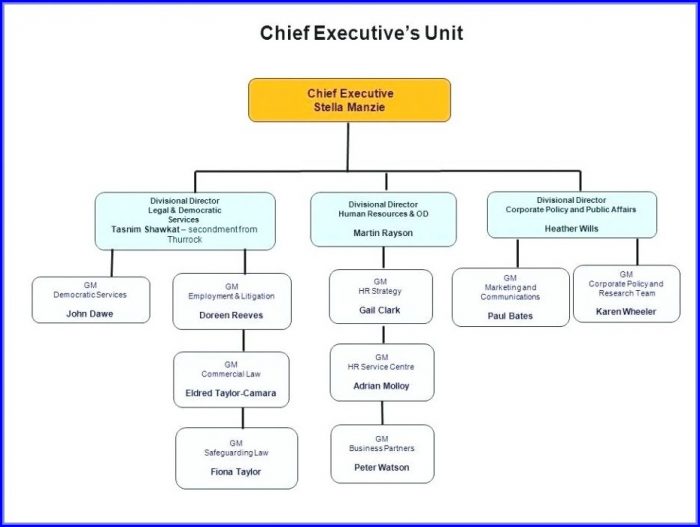 Business Organizational Chart Template Word Business Organizational Chart Template Word