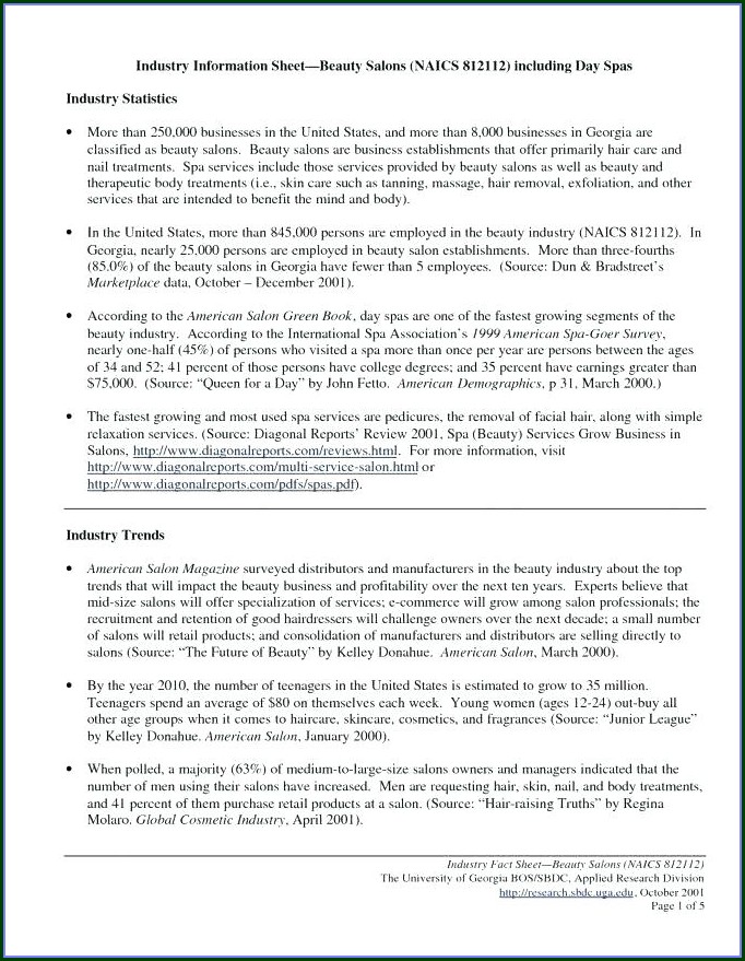 Business Plan Template For Hair Salon Free Business Plan Template For Hair Salon Free