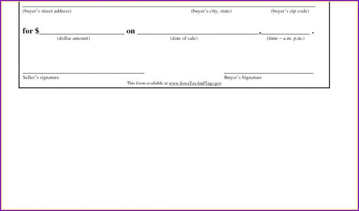 Car Invoice Template Private Sale Car Invoice Template Private Sale