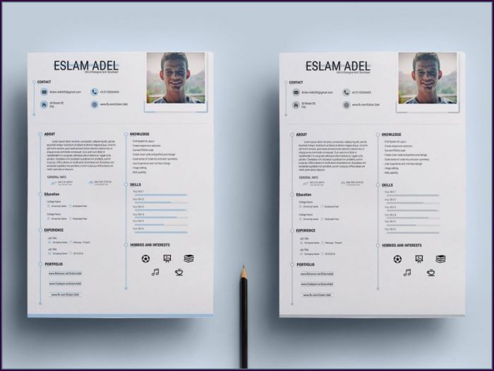 Cv Resume Template Free Download Cv Resume Template Free Download