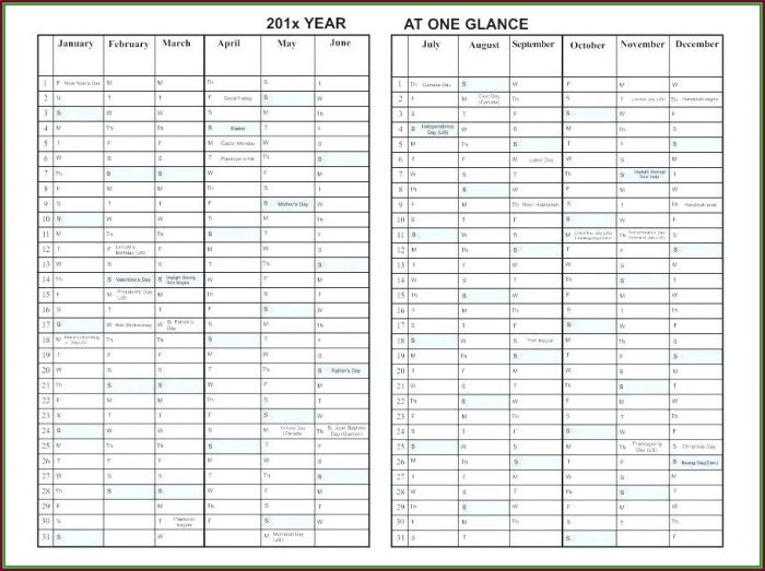 Day At A Glance Calendar Template Day At A Glance Calendar Template
