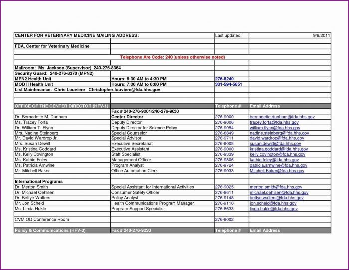 Department Organizational Chart Template Department Organizational Chart Template