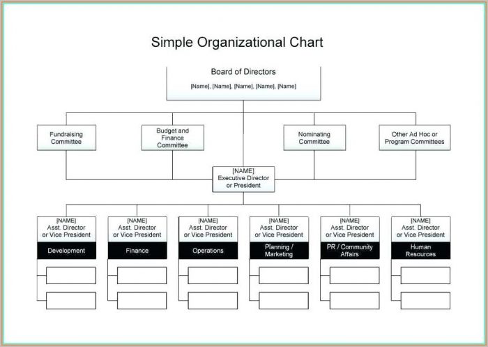 Editable Blank Flow Chart Template For Word Free Download Editable Blank Flow Chart Template For Word Free Download
