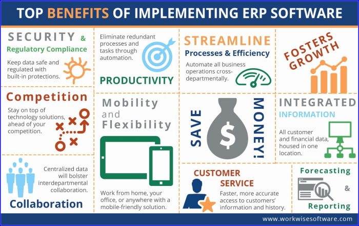 Erp Implementation Plan Template Erp Implementation Plan Template
