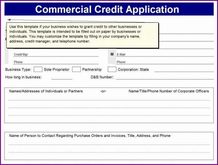Excel Business Credit Application Form Template Excel Business Credit Application Form Template