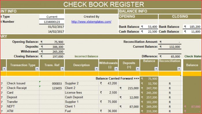 Excel Checkbook Ledger Template Excel Checkbook Ledger Template