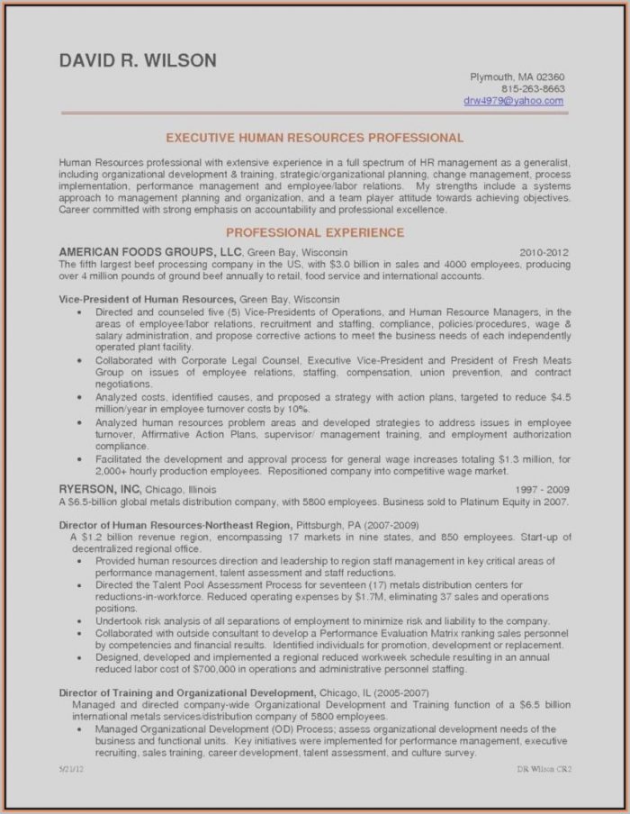 Executive Resume Template Free Executive Resume Template Free